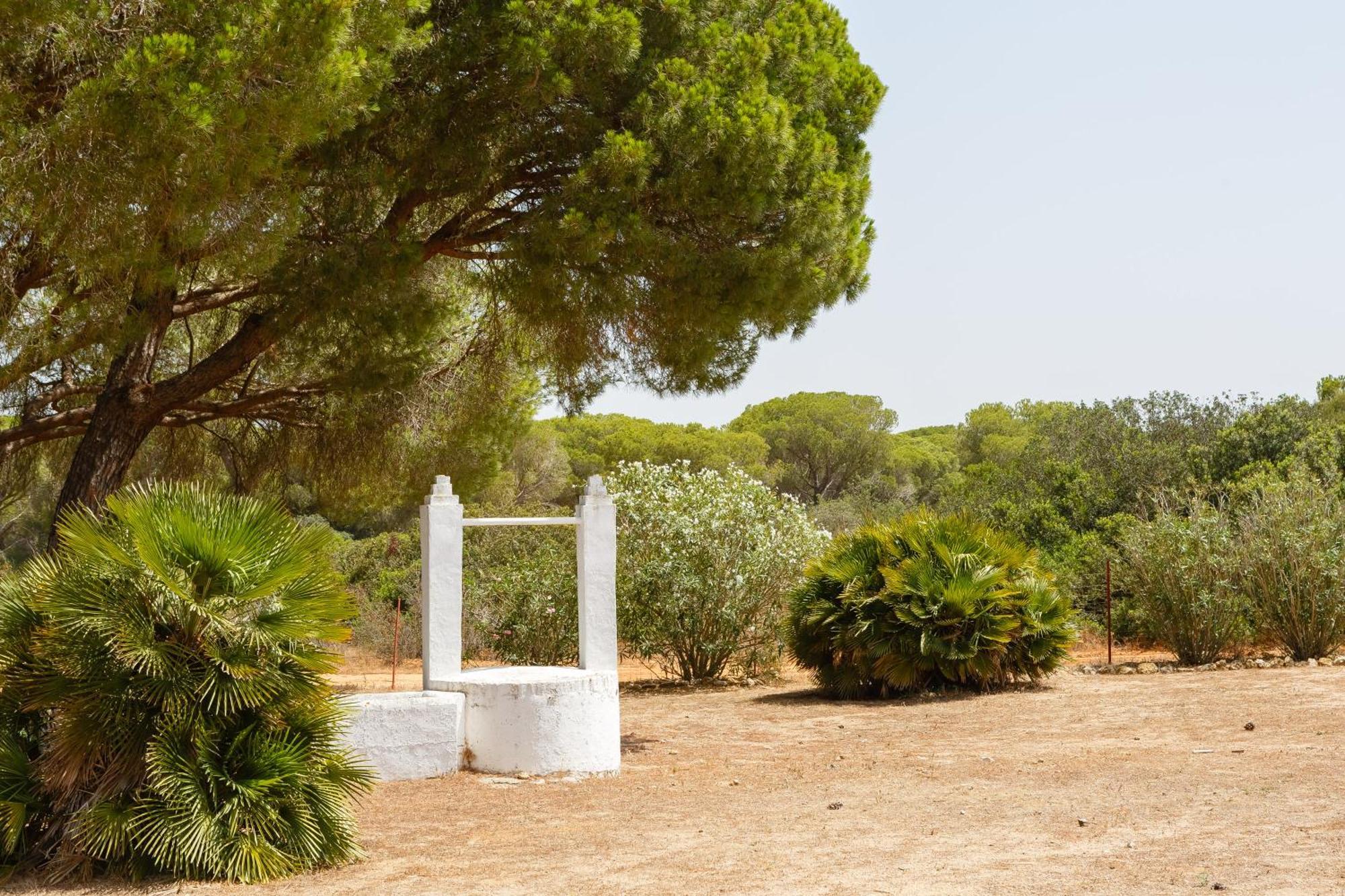 Casa Dehesa De Las Yeguas Cádiz Exterior photo
