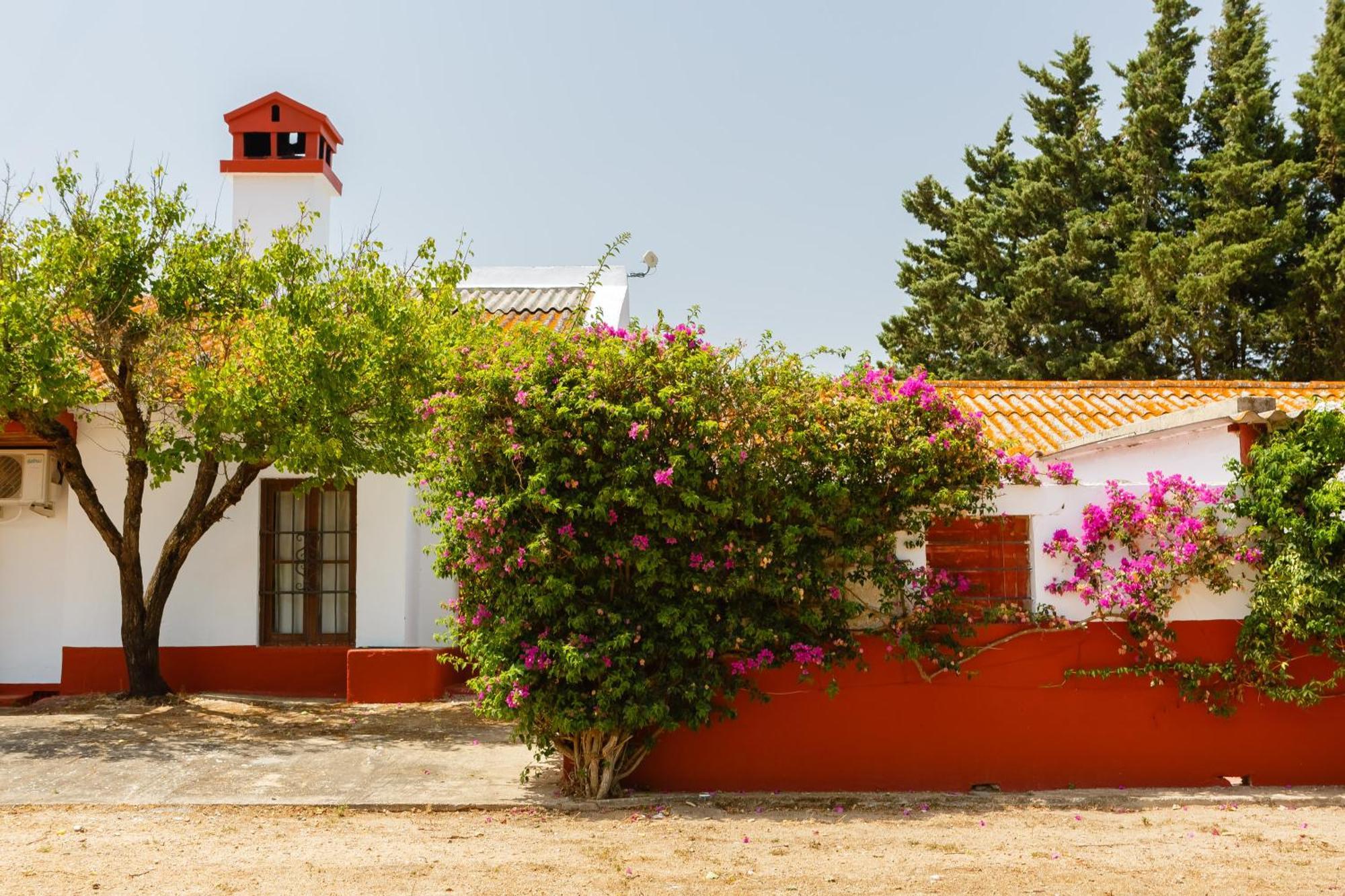 Casa Dehesa De Las Yeguas Cádiz Exterior photo