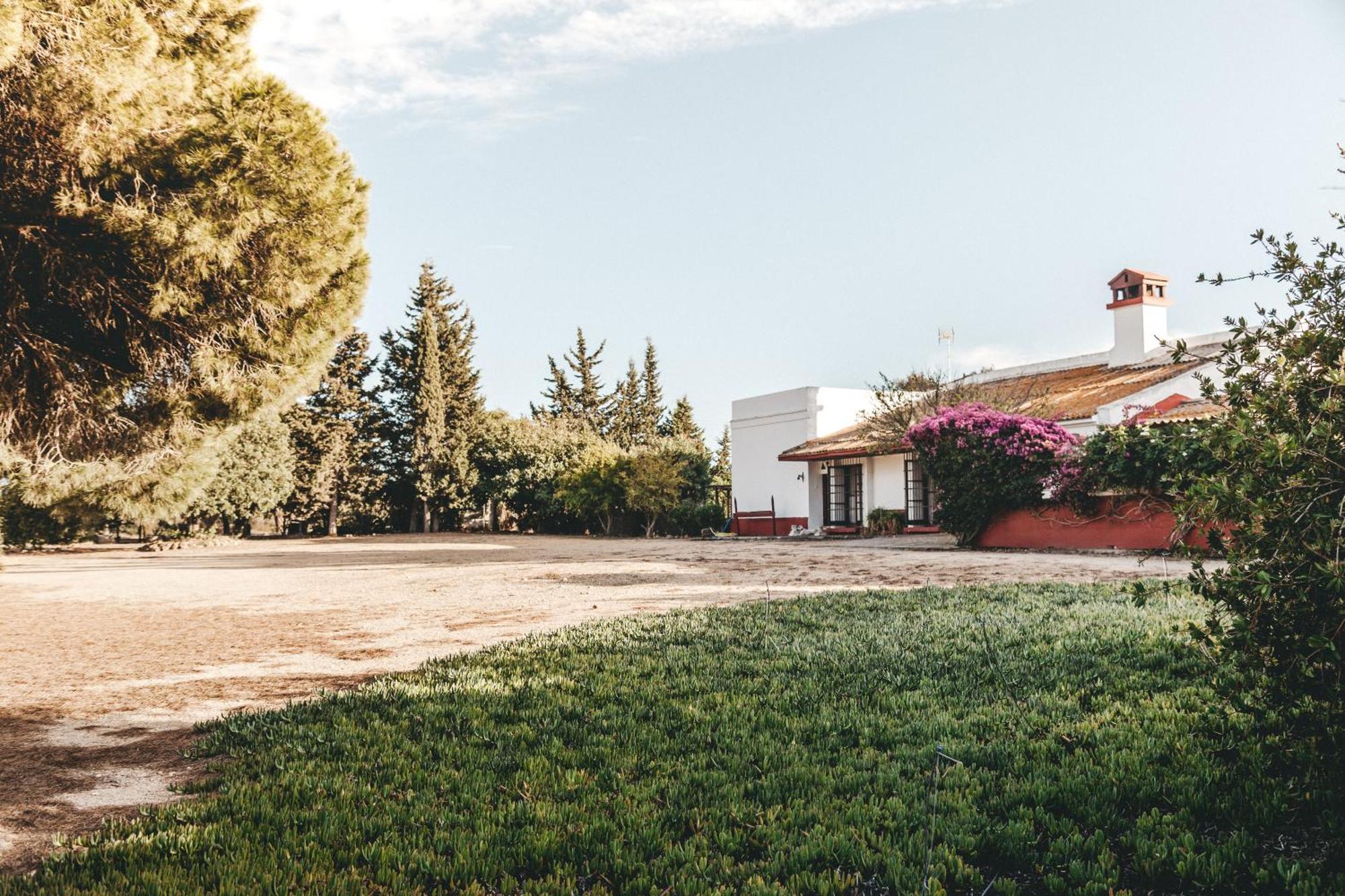 Casa Dehesa De Las Yeguas Cádiz Exterior photo